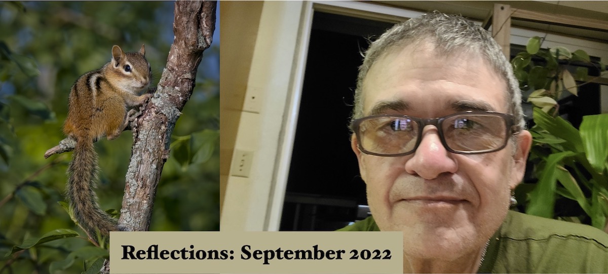 Reflections: September 2022